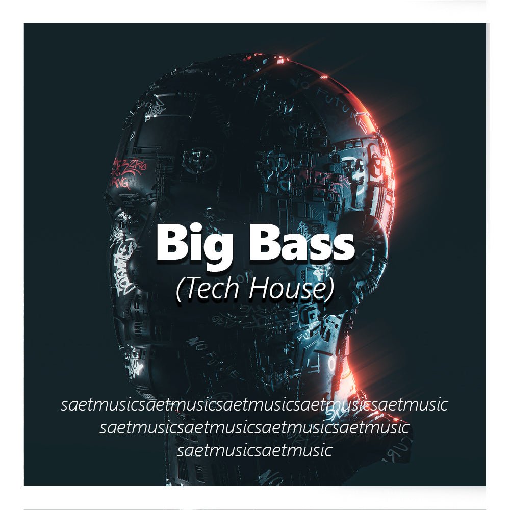 Big Bass - Sparty - Scraps Audio