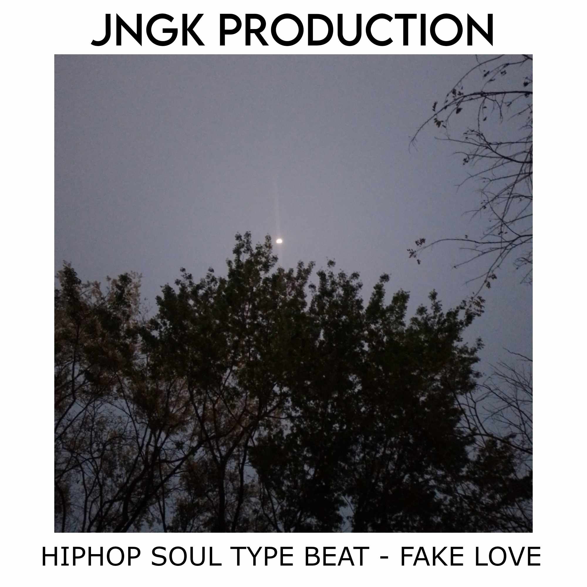 Hiphop Soul Pop Type Beat 2 - Fake Love - JNGK - Scraps Audio